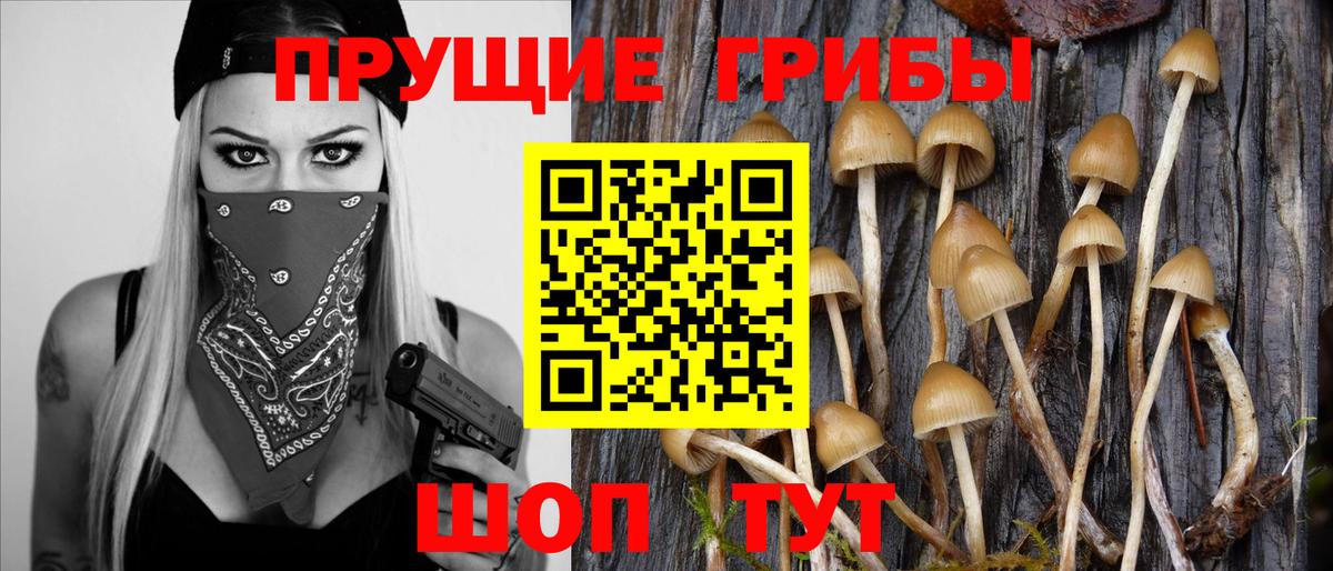 Свободный  что такое   Вход с VPN  Псилоцибиновые грибы ЛСД 